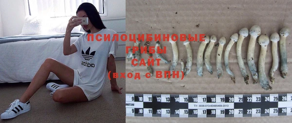 дживик Сатка