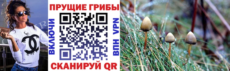 Псилоцибиновые грибы мухоморы  Сосенский 